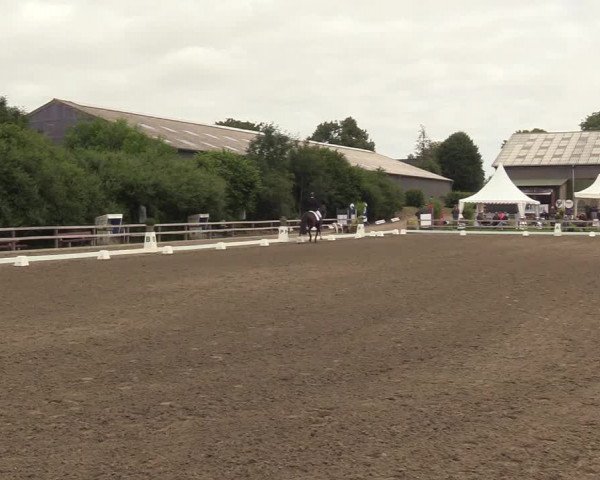 Reitturnier Kleinsolt 2022