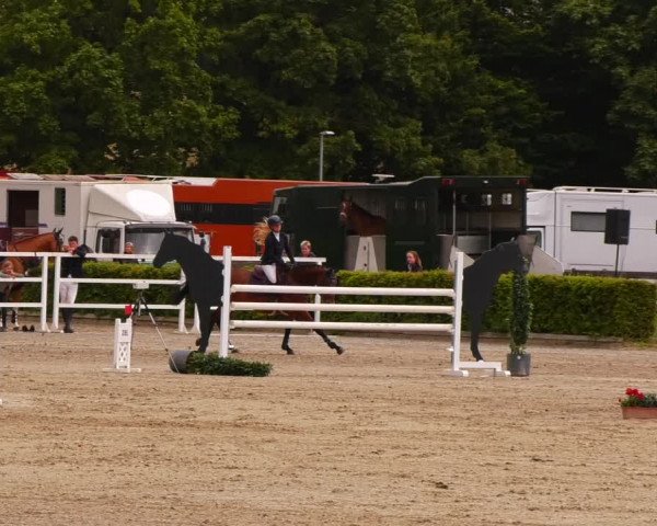 Reitturnier Neustadt/Dosse 2022