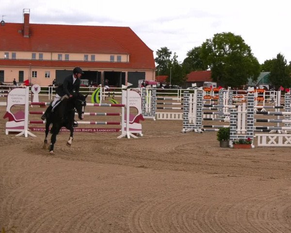 Reitturnier Neustadt/Dosse 2022