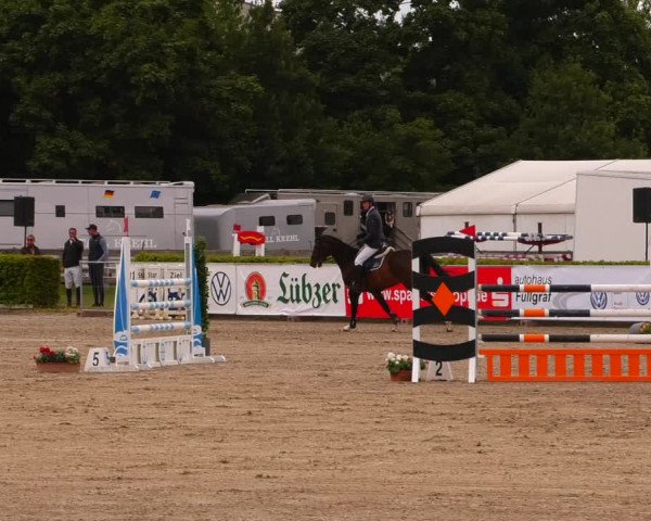 Reitturnier Neustadt/Dosse 2022