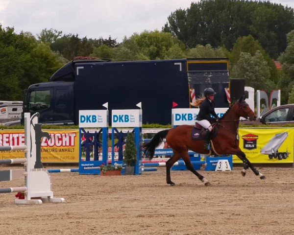 Reitturnier Neustadt/Dosse 2022