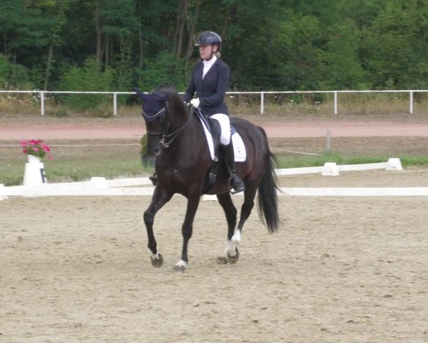 Reitturnier Heiligenwald 2022