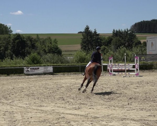 Reitturnier Weiswampach 2022