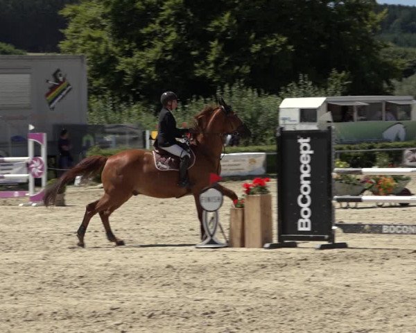Reitturnier Weiswampach 2022