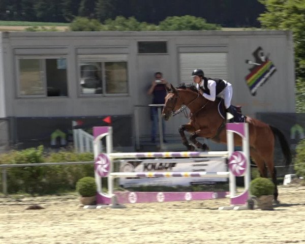 Reitturnier Weiswampach 2022
