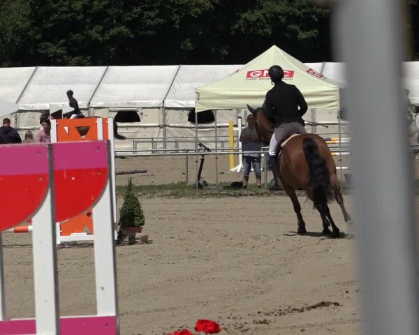 Reitturnier Weiswampach 2022