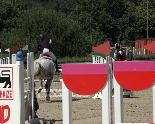Reitturnier Weiswampach 2022