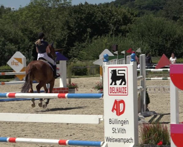 Reitturnier Weiswampach 2022