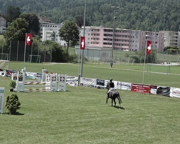 Reitturnier Elgg 2022