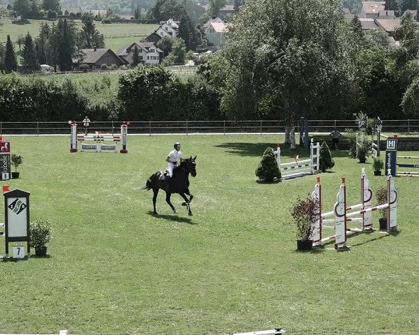 Reitturnier Elgg 2022