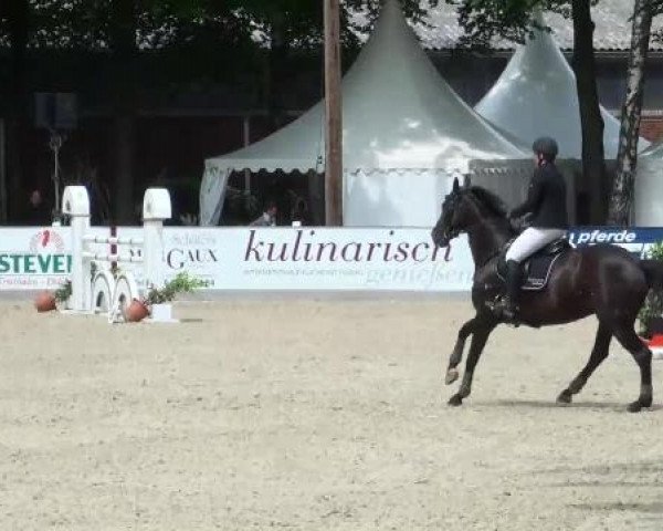 broodmare Lora Lee (Hanoverian, 2002, from Lord Laptop)