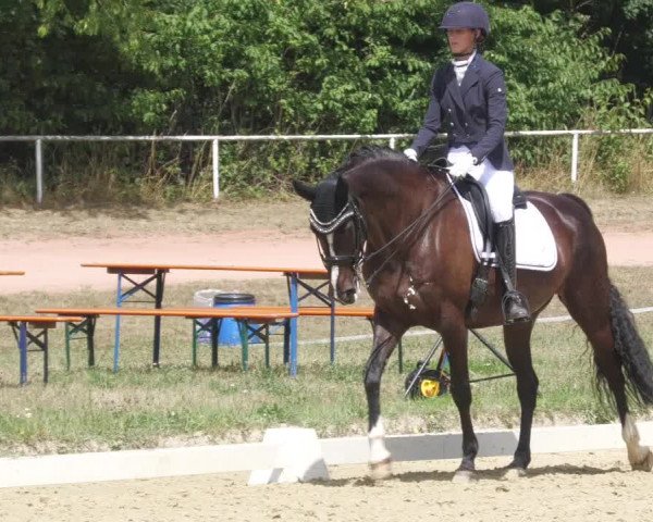 Reitturnier Heiligenwald 2022