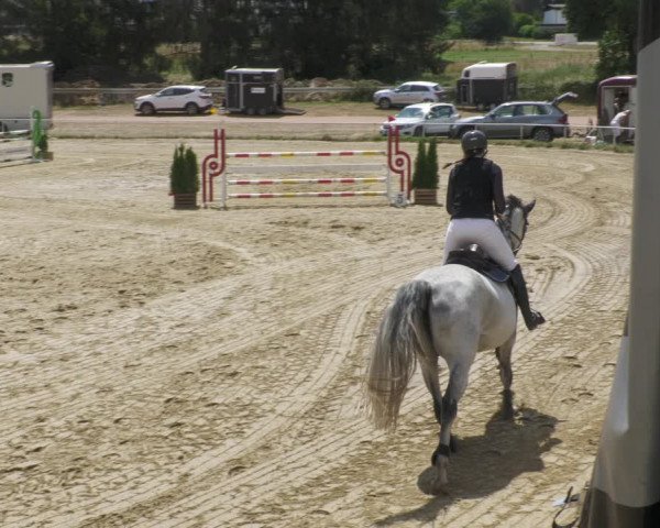 Reitturnier Heiligenwald 2022