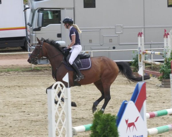 Reitturnier Heiligenwald 2022