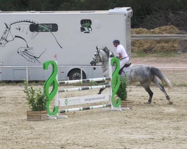 Reitturnier Heiligenwald 2022