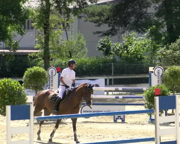 Reitturnier Dagmersellen 2022