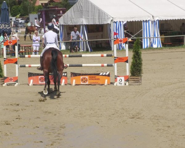 Reitturnier Heiligenwald 2022