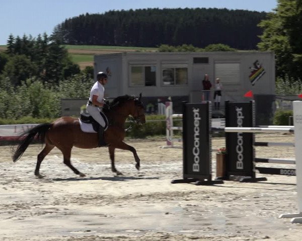 Reitturnier Weiswampach 2022
