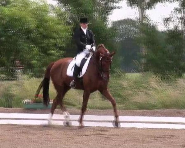 dressage horse Rohdonn (Oldenburg, 2003, from Rohdiamant)
