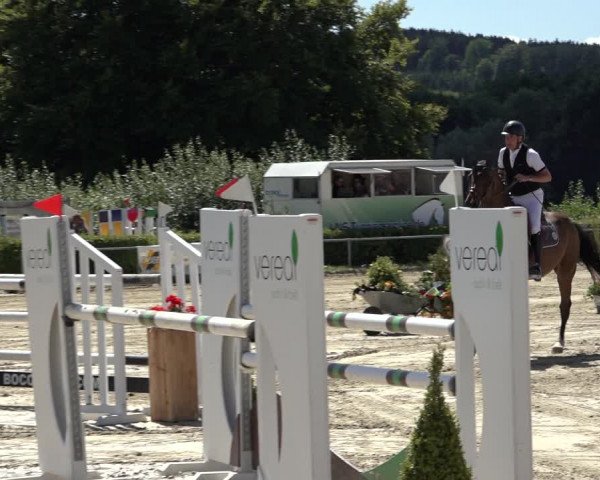 Reitturnier Weiswampach 2022