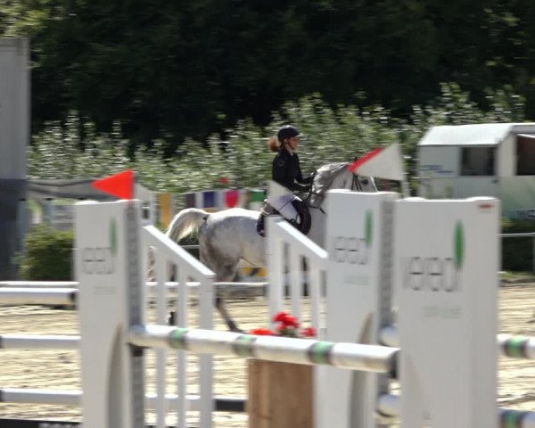 Reitturnier Weiswampach 2022