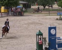 jumper Morientes (German Riding Pony, 2004)