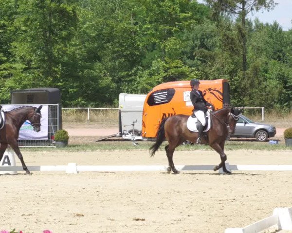 Reitturnier Heiligenwald 2022