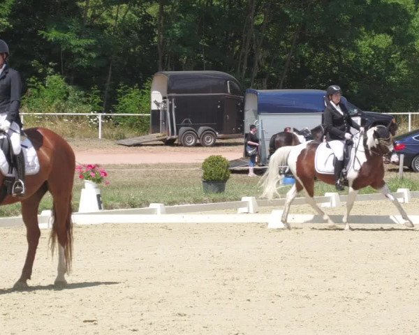 Reitturnier Heiligenwald 2022