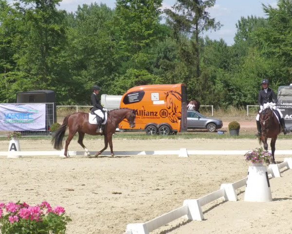 Reitturnier Heiligenwald 2022