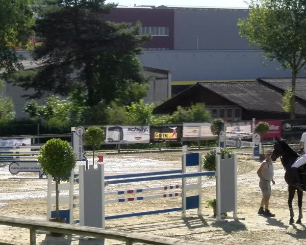 Reitturnier Dagmersellen 2022