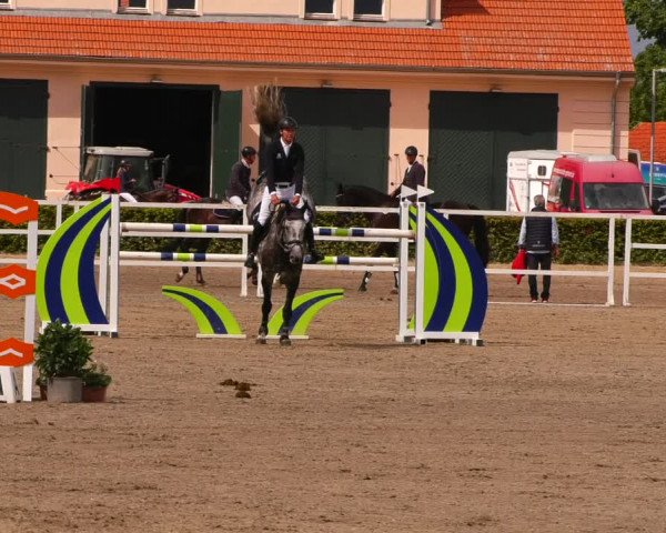 Reitturnier Neustadt/Dosse 2022