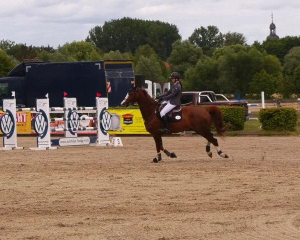 Reitturnier Neustadt/Dosse 2022