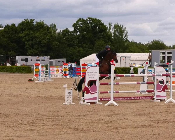 Reitturnier Neustadt/Dosse 2022