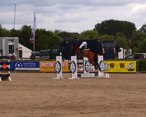 Reitturnier Neustadt/Dosse 2022