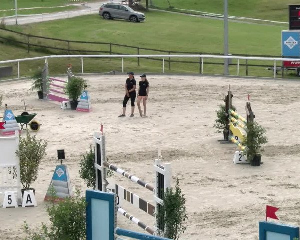 Reitturnier Rüti 2022