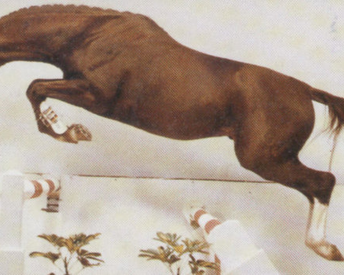 stallion Parlando I (Westphalian, 1985, from Paradox I 1697)