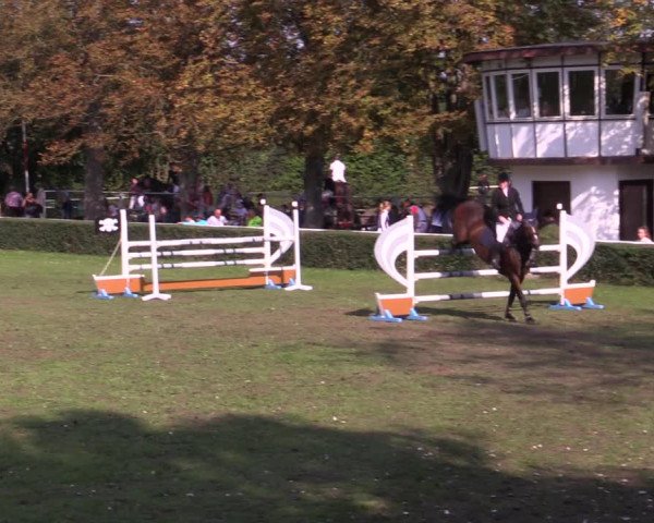 Reitturnier Westeregeln 2021