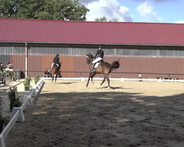 Reitturnier Marienheide-Kempershöhe 2022