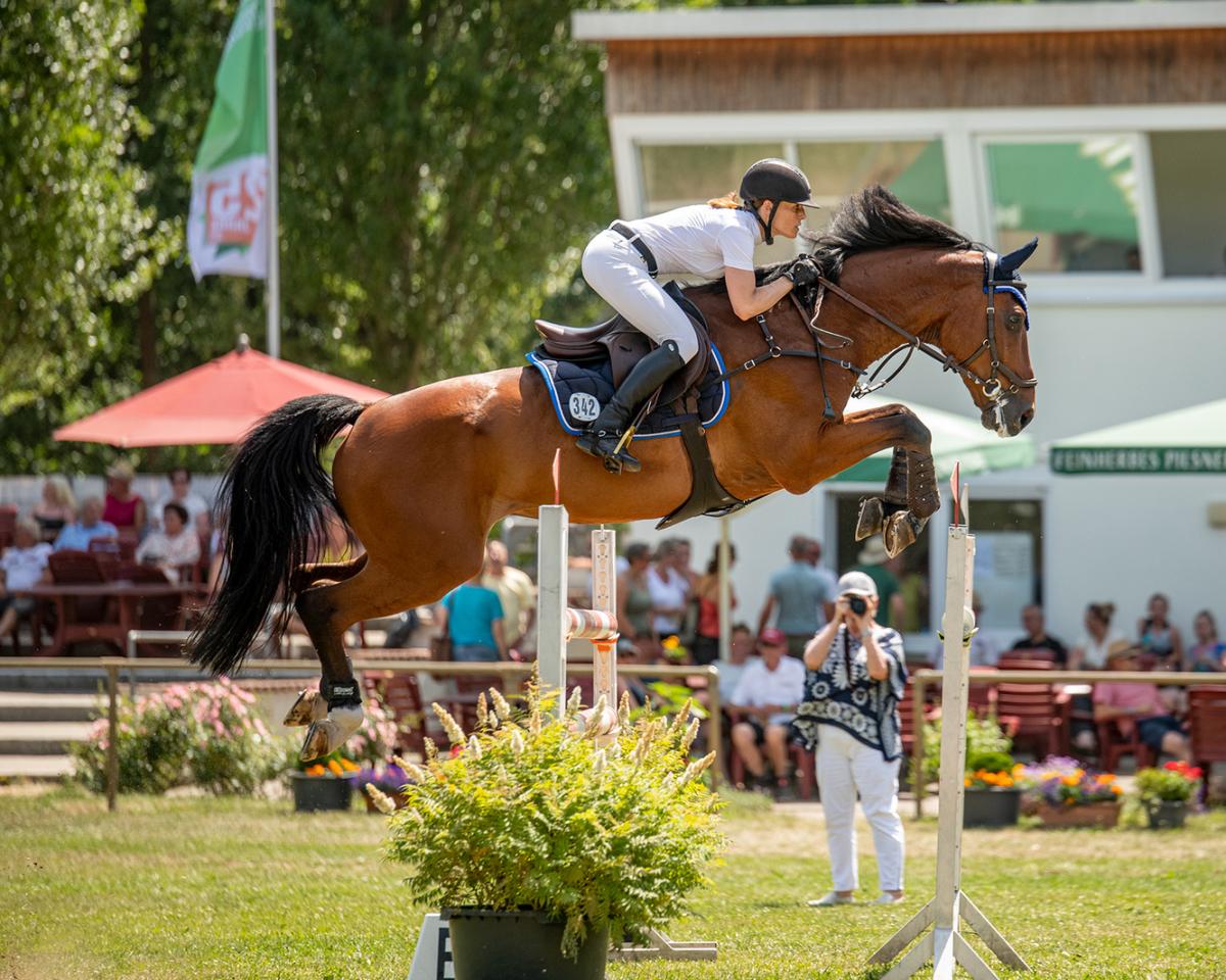 Springhest Crawallo Bs (Holstener, 2009, fra Crawford)