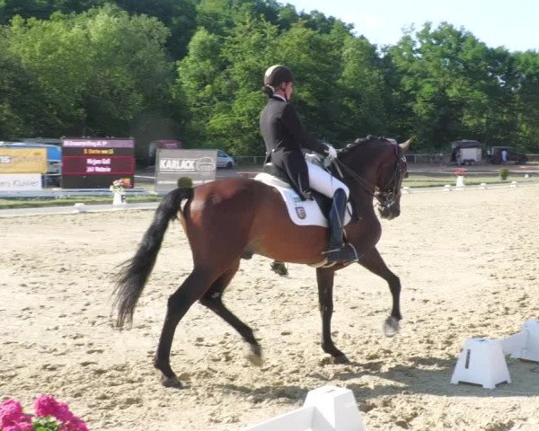 Reitturnier Heiligenwald 2022