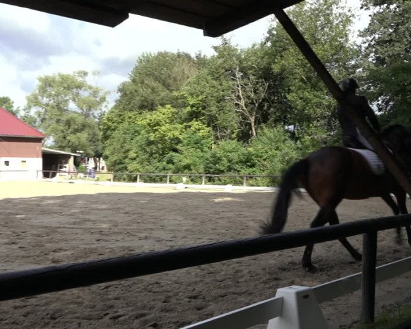 Reitturnier Marienheide-Kempershöhe 2022