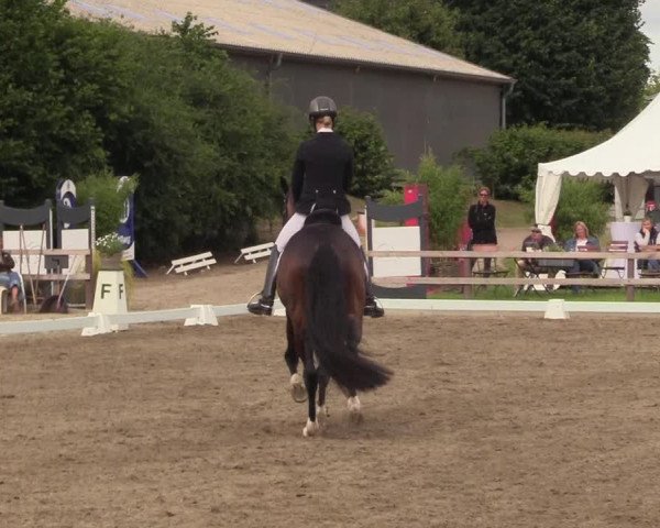 Reitturnier Kleinsolt 2022