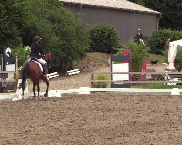 Reitturnier Kleinsolt 2022