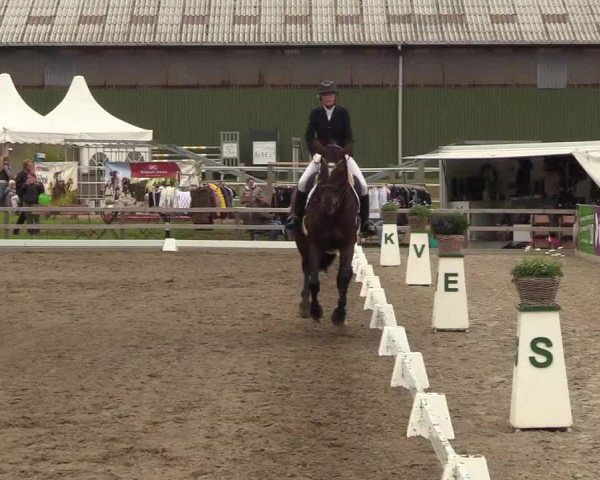 Reitturnier Kleinsolt 2022