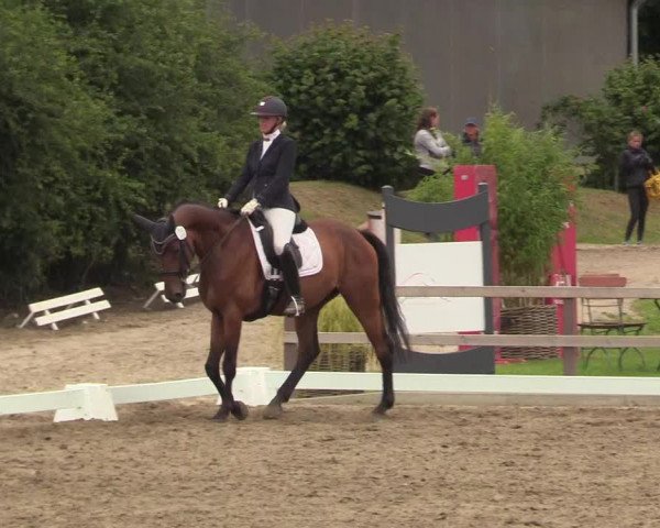 Reitturnier Kleinsolt 2022