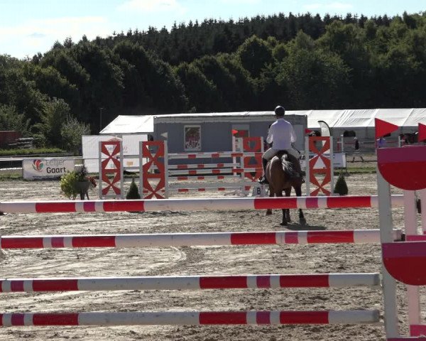 Reitturnier Weiswampach 2022