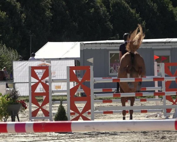 Reitturnier Weiswampach 2022