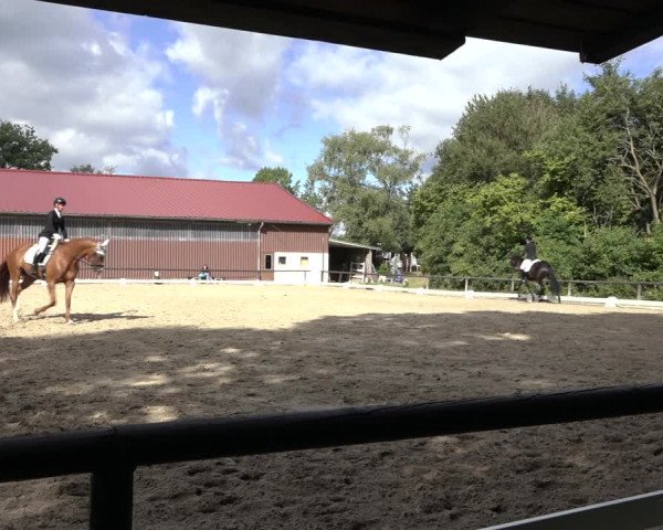 Reitturnier Marienheide-Kempershöhe 2022