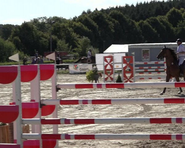 Reitturnier Weiswampach 2022