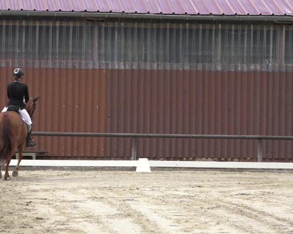 Reitturnier Marienheide-Kempershöhe 2022